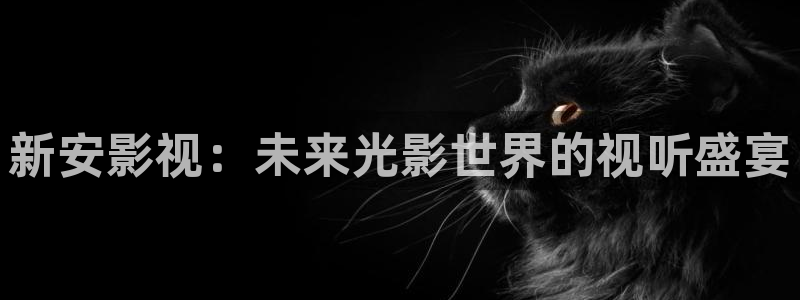 狐狸私人影院：新安影视：未来光影世界的视听盛宴