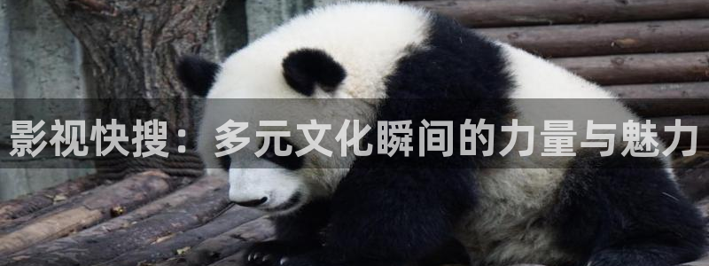 私人影院西安：影视快搜：多元文化瞬间的力量与魅力