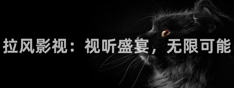 私人影院多少钱一场：拉风影视：视听盛宴，无限可能