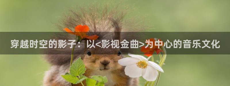 找私人影院：穿越时空的影子：以<影视金曲>为中心的音乐文化