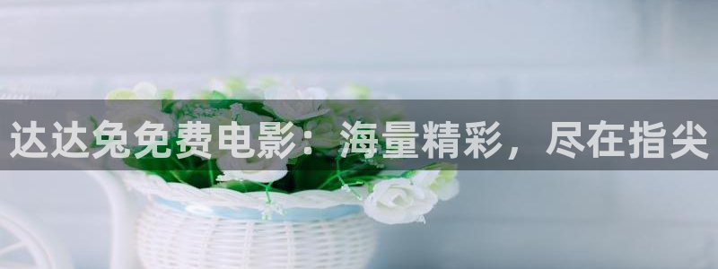 私人影院是做什么的：达达兔免费电影：海量精彩，尽在指尖